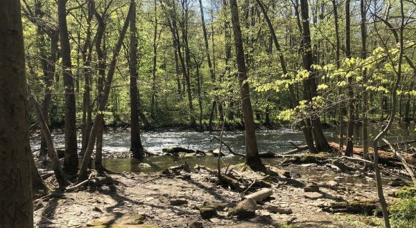 Hike To A Remote Forest Gorge On The Hemlock Gorge Trail, A Secluded Ohio Adventure