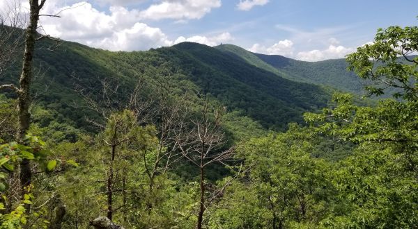 Hike The Historic Wagon Train Trail Surrounded By Lush Forest In Georgia’s Brasstown Wilderness