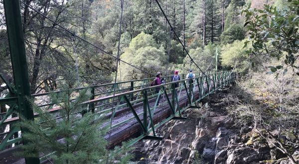 The Suspension Footbridge On The Euchre Bar Trail In Northern California Will Lead You To A Woodland Paradise