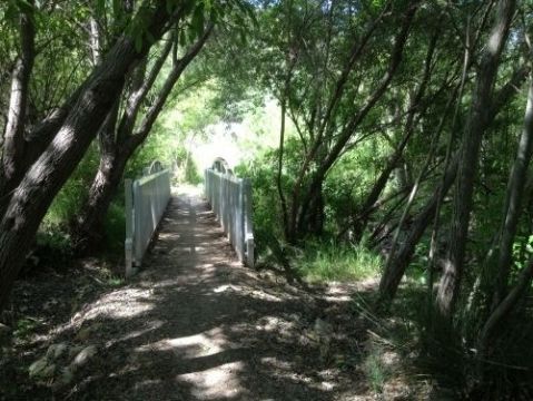 Hiking At Buck Gully Trail In Southern California Is Like Entering A Fairytale