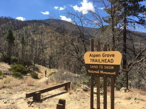 The 4-Mile Aspen Grove Trail In Southern California Takes You Through The Enchanting San Bernardino National Forest