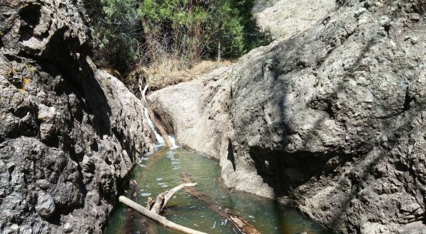 Hike To A Remote Forest Gorge On The Deer Creek Canyon Trail, A Secluded New Mexico Adventure