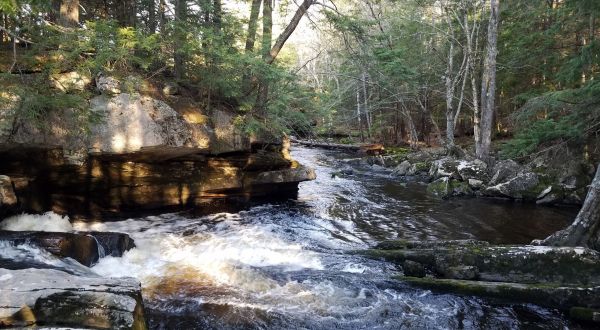 Cathance River Trail Is A Beginner-Friendly Waterfall Trail In Maine That’s Great For A Family Hike