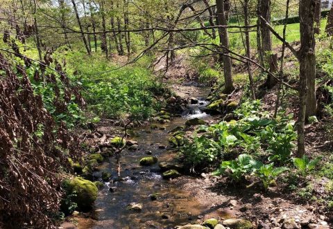 Explore A 2-Mile Loop Through Shimmering Cascades At Brian E. Tierney Preserve In Connecticut