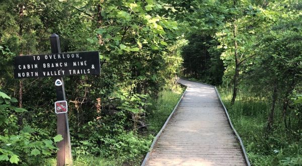 Explore The Pyrite Mine Ruins That Nature Has Reclaimed On This Forested Trail Through Virginia