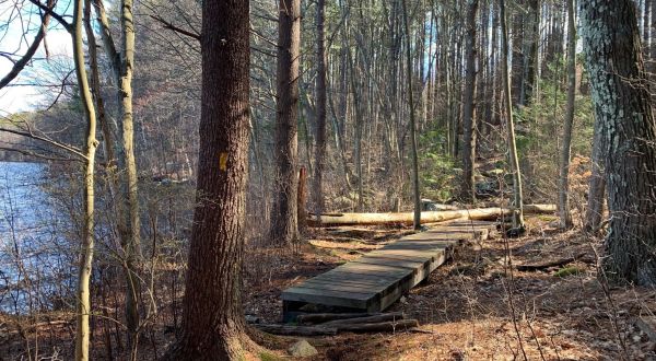 The Whitehall Reservoir Loop Trail Will Show You A Completely New Side Of Massachusetts