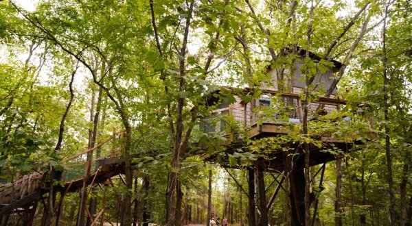 Sleep High Up In The Forest Canopy At Eufaula Treehouse Tree-Sort In Oklahoma