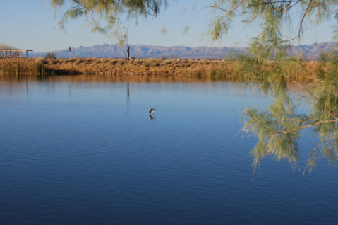 The Water Is A Brilliant Blue At Roper Lake, A Refreshing Roadside Stop In Arizona