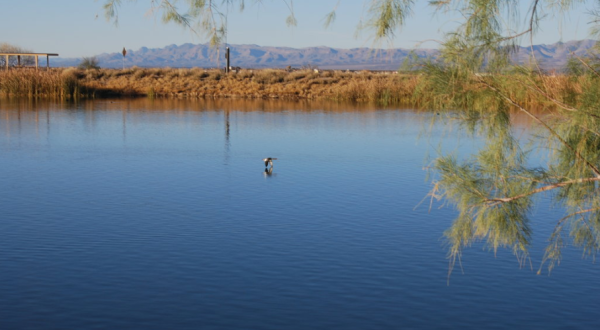 The Water Is A Brilliant Blue At Roper Lake, A Refreshing Roadside Stop In Arizona