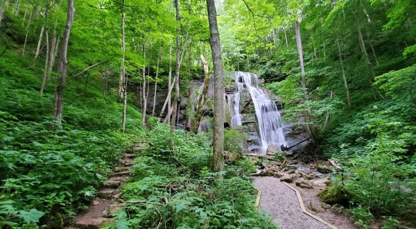 This Easy, Half-Mile Trail Leads To Tank Hollow Falls, One Of Virginia’s Most Underrated Waterfalls