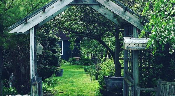 Wander Through 40 Acres Of Whimsy At Grand Oak Herb Farm In Michigan
