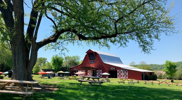 Enjoy A Summer Picnic With A View At Scenic Arrington Vineyards Just Outside Of Nashville