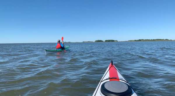 Rent A Kayak And Enjoy A Peaceful Day At Indian River Marina In Connecticut