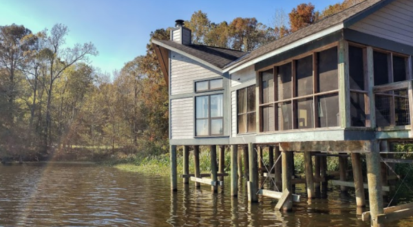 Camp In Luxury While Overlooking a Hardwood Forest And Lake Chicot In Louisiana