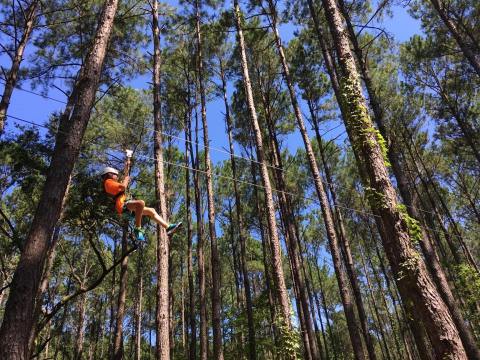 This Summer, Take A Thrilling Flight Through The Trees On The Charleston Zipline In South Carolina