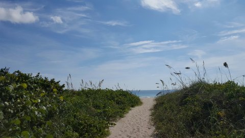 Follow A Sandy Path To The Waterfront When You Visit Fort Pierce Inlet State Park In Florida