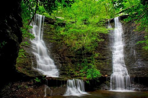 You'll Do A Double Take When You See The Wildman Twin Falls For Yourself In Arkansas
