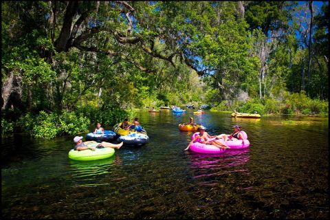 Ichetucknee Springs Tubing In Florida Has Been Called The Best In The State