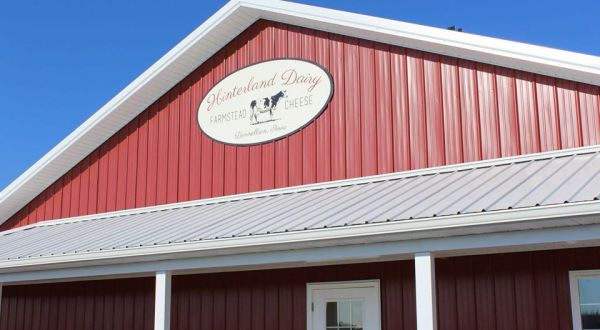 Snack On The Finest Iowa-Made Cheese Curds At Hinterland Dairy