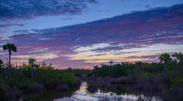 Here’s The Ultimate Bucket List For Floridians Who Are Obsessed With Nature