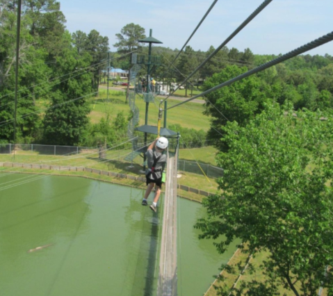 Fly Over Gators In This Thrilling Zip Line At Gators & Friends In Louisiana