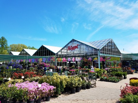 Patuxent Nursery In Maryland Has All Of Your Gardening Needs And So Much More