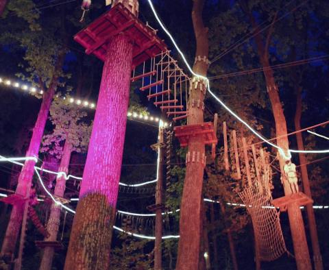 Fly Through A Forest Canopy In The Moonlight With Glow In The Park In Maryland
