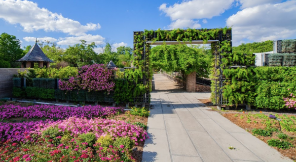 Relax In Over 2,000 Beautiful Blooms At The Botanical Garden In New Orleans