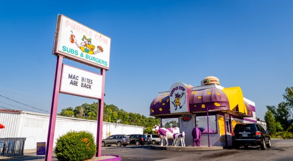 The Purple Cow In Rural Tennessee Is One Of The State’s True Drive-Thru Icons
