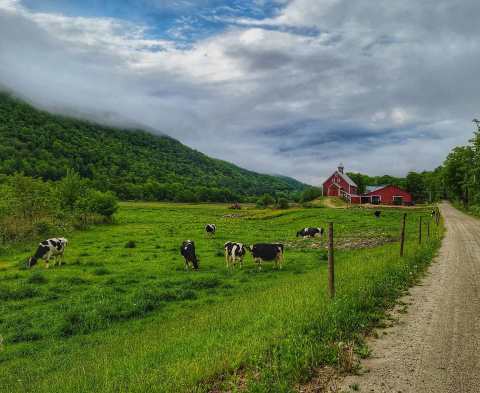 7 Beautiful Farms In Vermont Where You Can Experience Country Life At Its Finest
