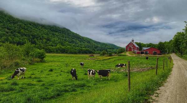 7 Beautiful Farms In Vermont Where You Can Experience Country Life At Its Finest