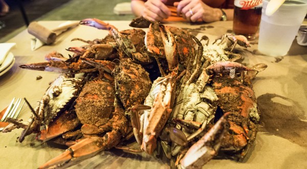 Fill Up On Blue Crabs, The Most Popular Local Dish In Delaware