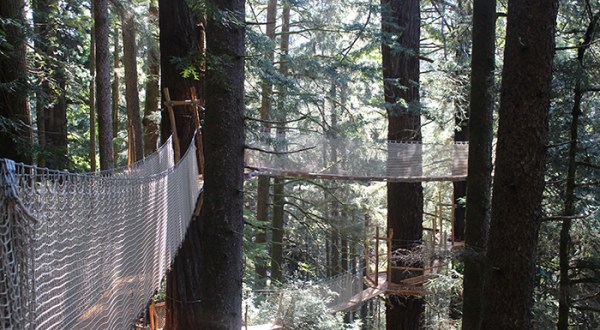 The Redwood Canopy Trail At Trees Of Mystery Is Northern California’s Newest Aerial Adventure