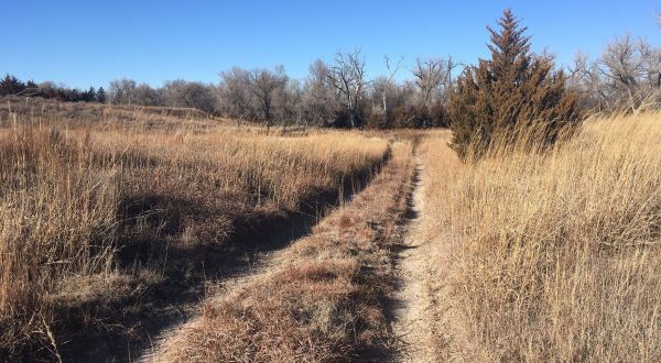 9 Kansas Pet-Friendly Trails You And Your Dog Can Hike Together
