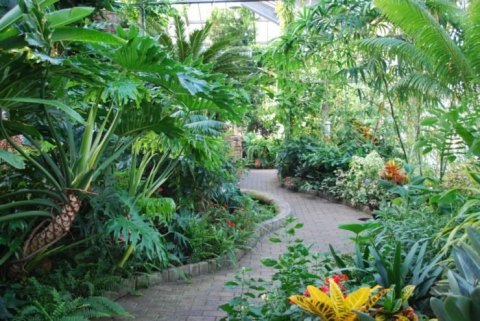 Enter A Rainforest Jungle Right Here In Indiana At Garfield Park Conservatory