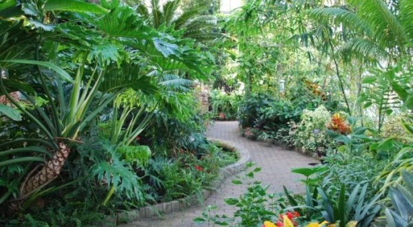 Enter A Rainforest Jungle Right Here In Indiana At Garfield Park Conservatory
