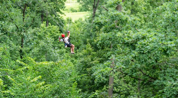The Long Hollow Canopy Tours Through Tapley Woods Is Illinois’ Longest Aerial Adventure