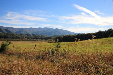 Walk Through The Natural Tranquility Of Famous Cades Cove In Tennessee Every Wednesday This Summer