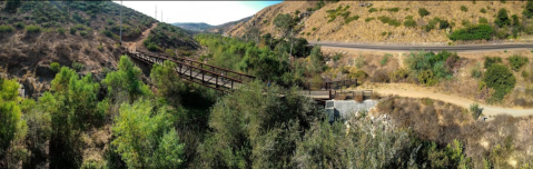 The Most Peaceful Trail On Earth, Del Dios Gorge Trail, Will Take You Through A Slice Of Paradise In Southern California