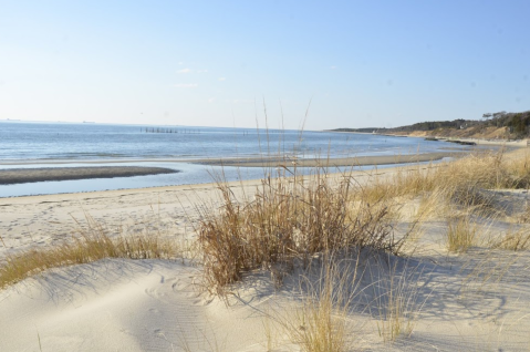 Follow A Sandy Path To The Waterfront When You Visit Kiptopeke State Park In Virginia