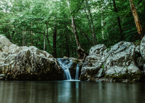 Complete With A Rope Swing And Waterfall, Arnold Valley Is A Little-Known Virginia Swimming Hole You'll Love