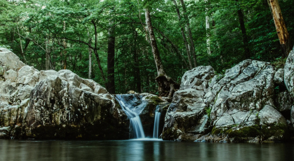 Complete With A Rope Swing And Waterfall, Arnold Valley Is A Little-Known Virginia Swimming Hole You’ll Love