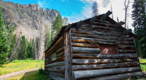 Take In The Show-Stopping Views From This Cabin In The Largest Park In Colorado