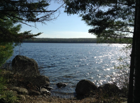 This 1-Mile Hike In Maine Will Lead You Straight To The Shores Of A Beautiful Lake