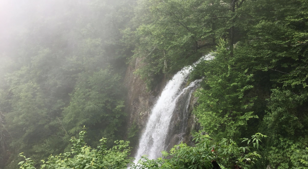 There’s A Secret Waterfall In Virginia Known As Lewis Falls, And It’s Worth Seeking Out