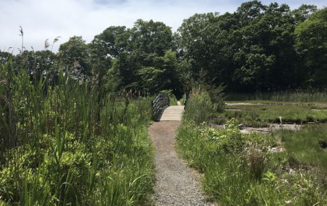 Walk Through Vibrant Woodland Landscapes On The Rocky Neck State Park Loop In Connecticut