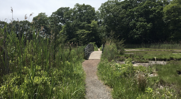 Walk Through Vibrant Woodland Landscapes On The Rocky Neck State Park Loop In Connecticut