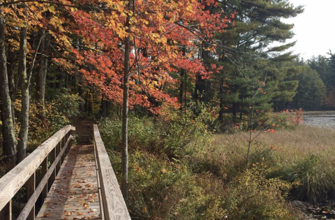 Beaver Brook Is A Scenic Outdoor Spot In New Hampshire That's A Nature Lover’s Dream Come True
