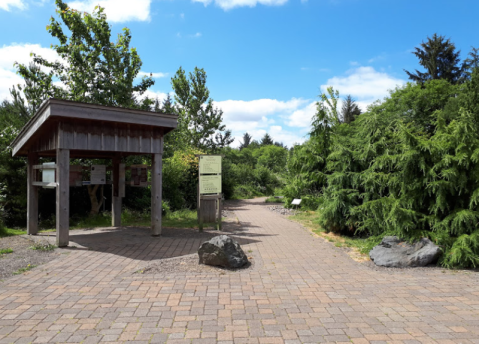 The Pretty Trails At Kilchis Point Reserve In Oregon Are Accessible To Everyone