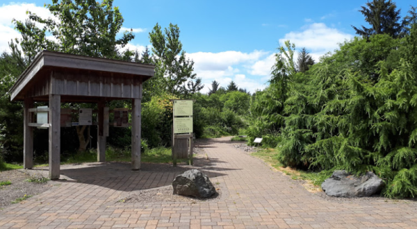 The Pretty Trails At Kilchis Point Reserve In Oregon Are Accessible To Everyone